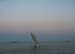 From the schooner