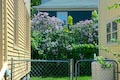 It's bloom time!